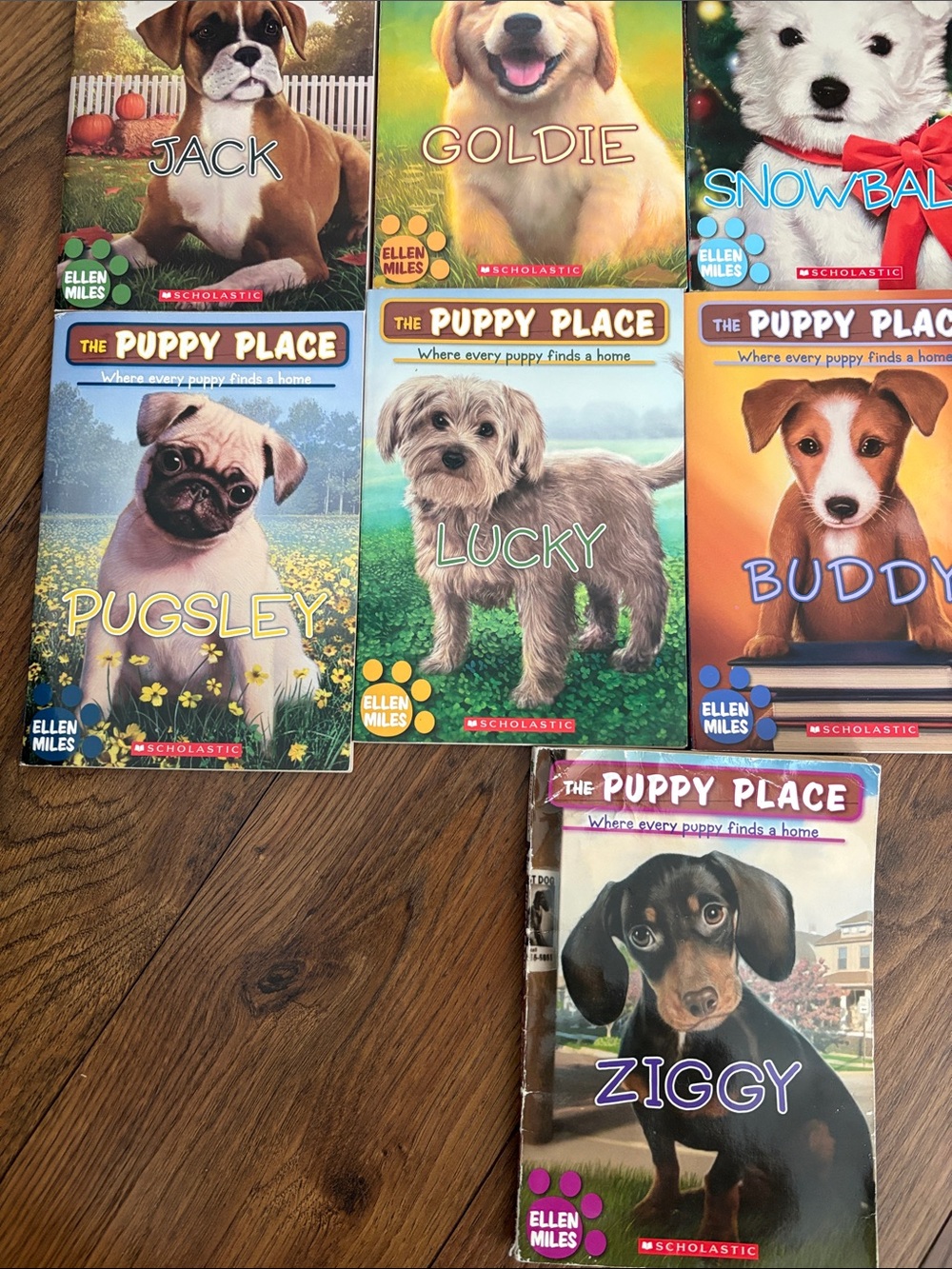 Scholastic Puppy Place Collection — Bright Multi‑Color Puppy Covers - Picture 4 of 9